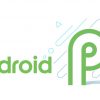 Android P, nu nog zonder volledige naam